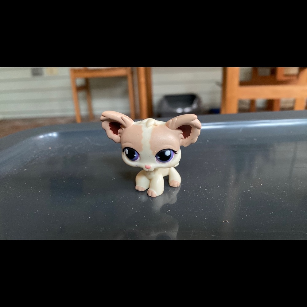 Old Littlest Pet Shop Dog